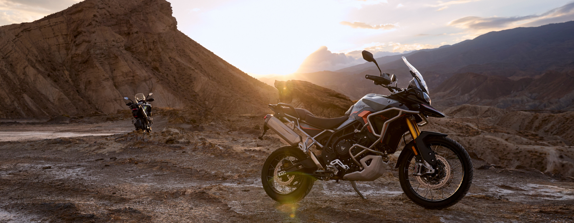 TIGER ÉDITION SPÉCIALE : ALPINE ET DESERT TIGER ÉDITION SPÉCIALE : ALPINE ET DESERT